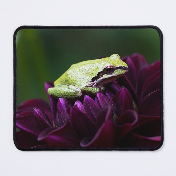 Item preview, The Garden Prince designed and sold by bareft.