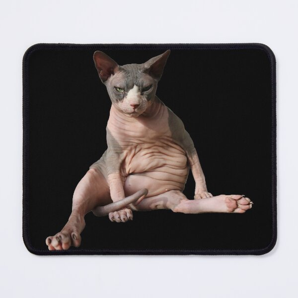 Item preview, Cowboy the Hairless (cat) designed and sold by nekodokai1.