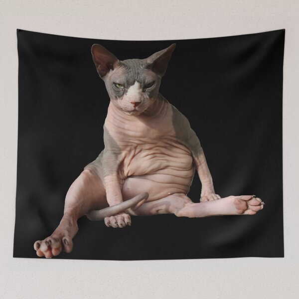 Item preview, Cowboy the Hairless (cat)  designed and sold by nekodokai1.