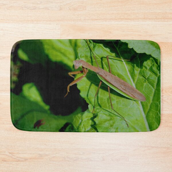 Item preview, MANTODEA, MANTIDAE, MANTIS C2021 Steve Yellowbear Fine Photographic Art designed and sold by SteveYellowbear.