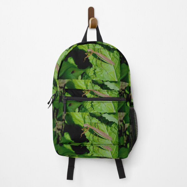 Item preview, MANTODEA, MANTIDAE, MANTIS C2021 Steve Yellowbear Fine Photographic Art designed and sold by SteveYellowbear.