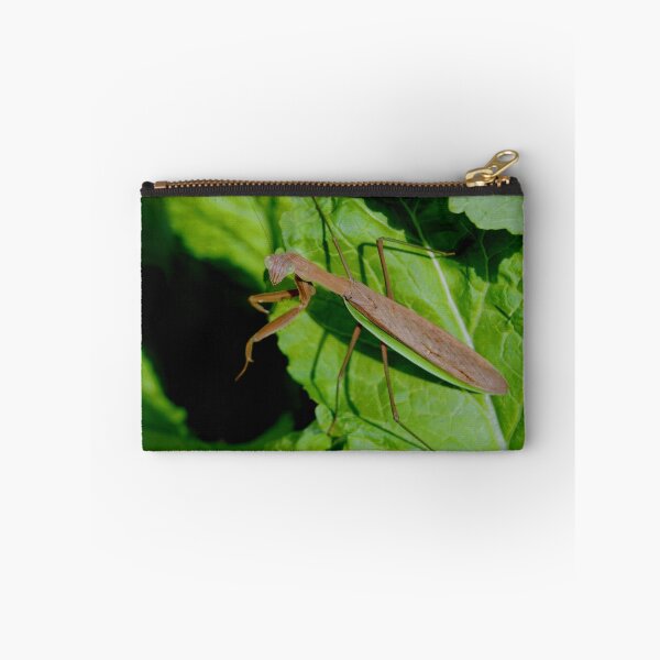 Item preview, MANTODEA, MANTIDAE, MANTIS C2021 Steve Yellowbear Fine Photographic Art designed and sold by SteveYellowbear.
