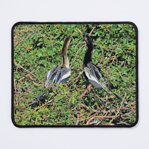Item preview, Venice Anhingas designed and sold by Michiale.