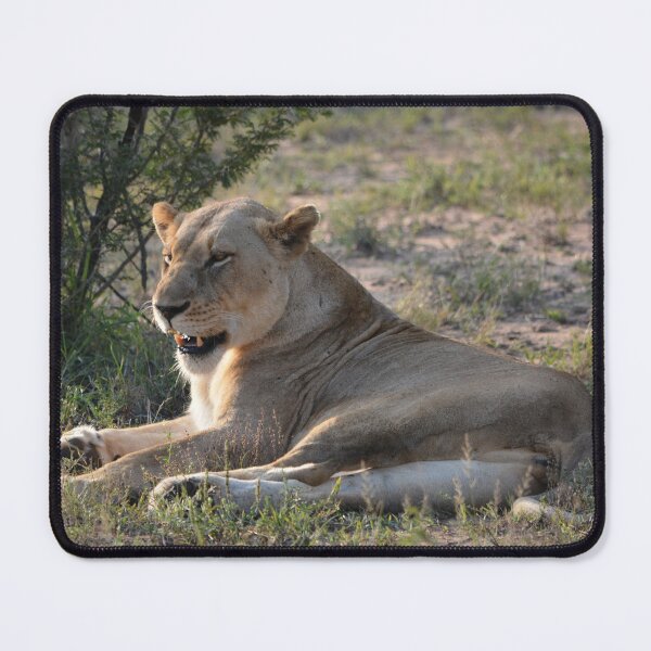 Item preview, Snarling lioness mousepad designed and sold by Roy-Babiuk.