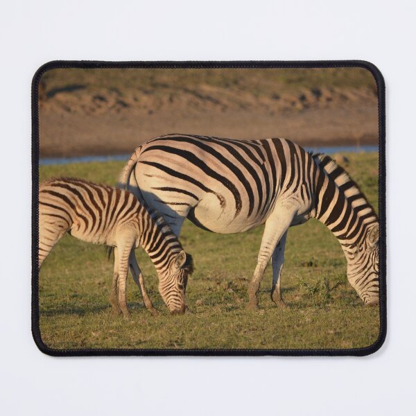 Item preview, Plains zebra and foal mousepad designed and sold by Roy-Babiuk.