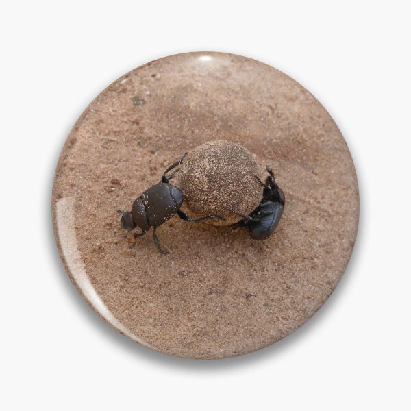 Item preview, Dung Beetles Rolling Together designed and sold by WilloughbyArts.