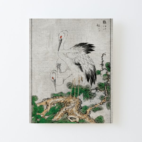 A Japanese Classic Illustration Art Of Storks And Pine Tree By Numata Kashu 1885. Canvas Mounted Print