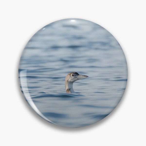 Item preview, Common Loon - Alone designed and sold by photodunnright.