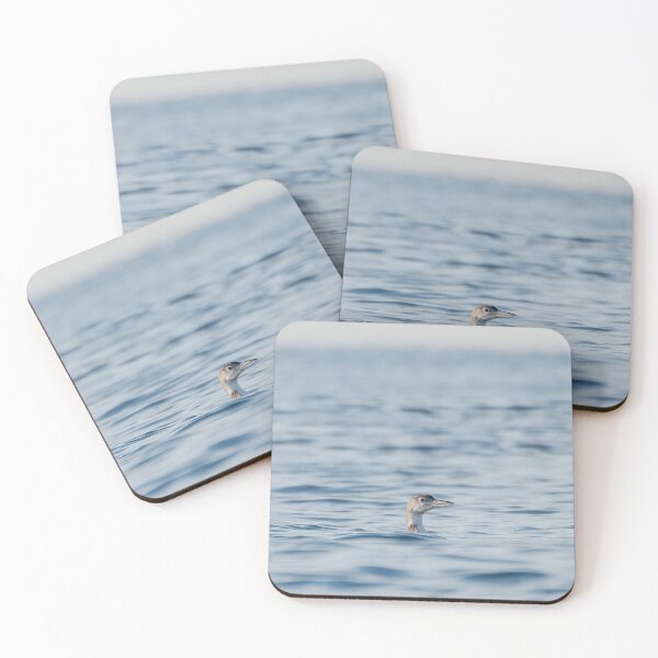Item preview, Common Loon - Alone designed and sold by photodunnright.