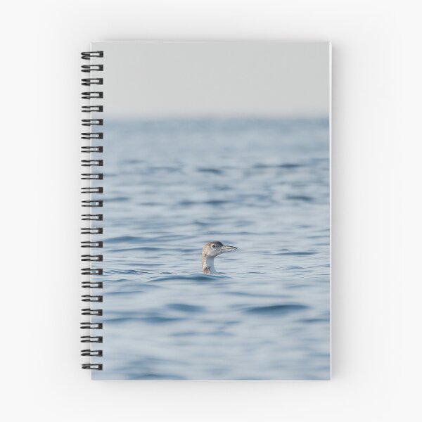Item preview, Common Loon - Alone designed and sold by photodunnright.