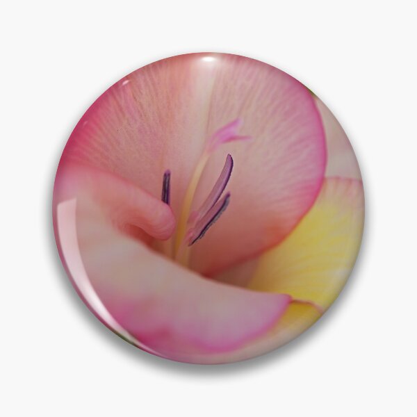 Artikelvorschau, Gladiolenblüte, eine Blüte entworfen und verkauft von Joy Watson - Natural Light Photography .