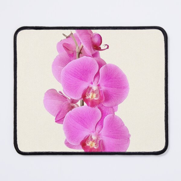 Item preview, Pink Orchid Flower designed and sold by newburyboutique.