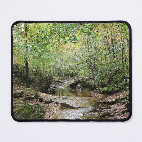 Item preview, Walking a Creek designed and sold by Lens2Canvas.
