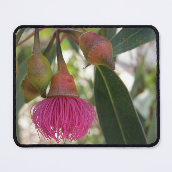 Item preview, Gumnut Blossom designed and sold by Honey Myrtle Studio.