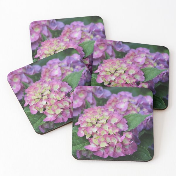 Item preview, Pink and Violet Pretty Hydrangea Bush Flowers designed and sold by JariHawk.