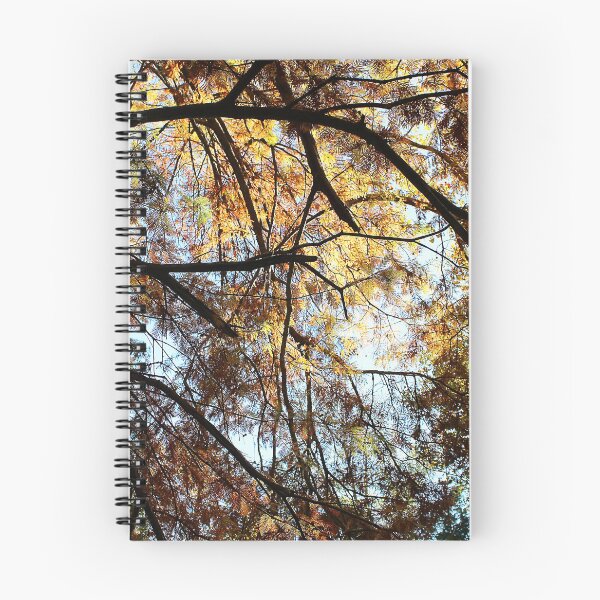 Item preview, Through the Cypress designed and sold by Lens2Canvas.