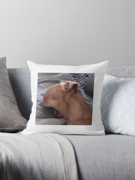 Item preview, screaming chihuahua twitter meme designed and sold by alaskaandmargo.
