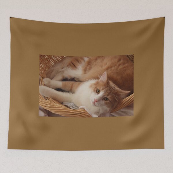 Item preview, Emery in a Basket designed and sold by PaulKPhoto.