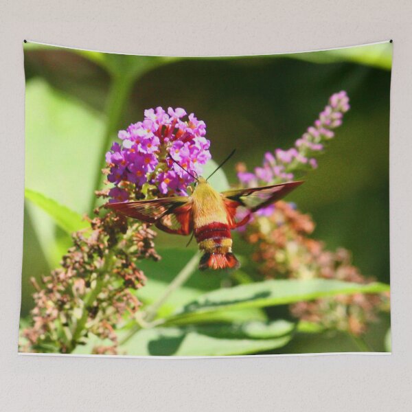 Item preview, Hummingbird-moth designed and sold by Enola Gay Wagner.