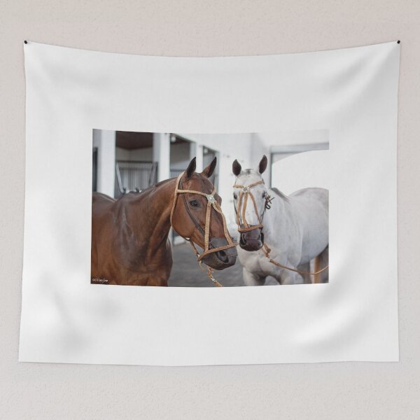 Artikelvorschau, Zwei Poloponys entworfen und verkauft von DriveModern.