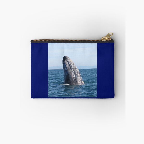 Item preview, Gray Whale Spy Hop designed and sold by Whale & Dolphin Wisdom Retreats.