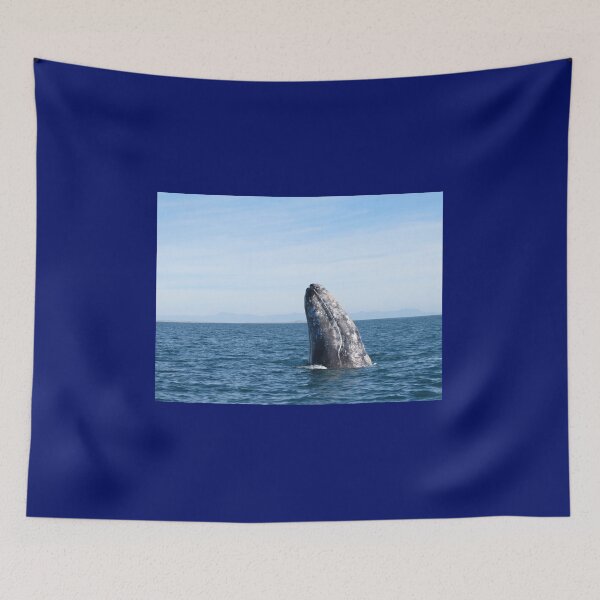 Item preview, Gray Whale Spy Hop designed and sold by Whale & Dolphin Wisdom Retreats.