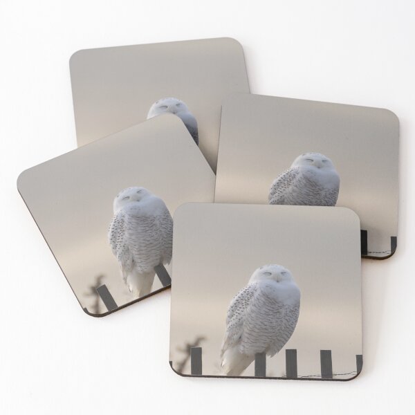 Item preview, Snowy Owl - Sun Bathing designed and sold by photodunnright.