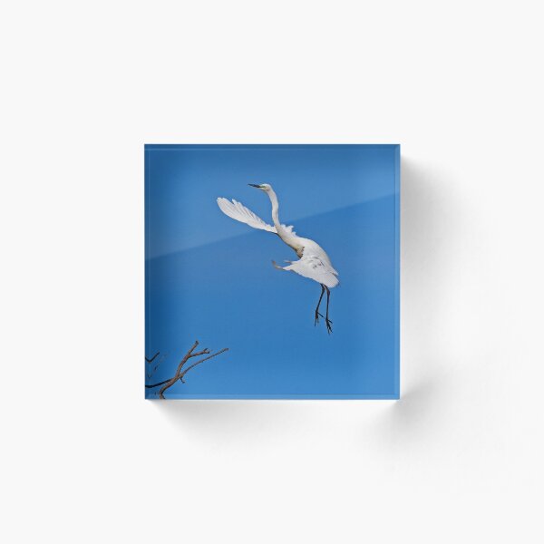 Aerial Dance No:5 Acrylic Block