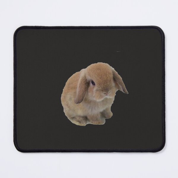 Item preview, mini lop Sticker designed and sold by VerenaJunker.