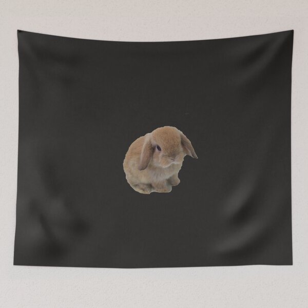 Item preview, mini lop Sticker designed and sold by VerenaJunker.