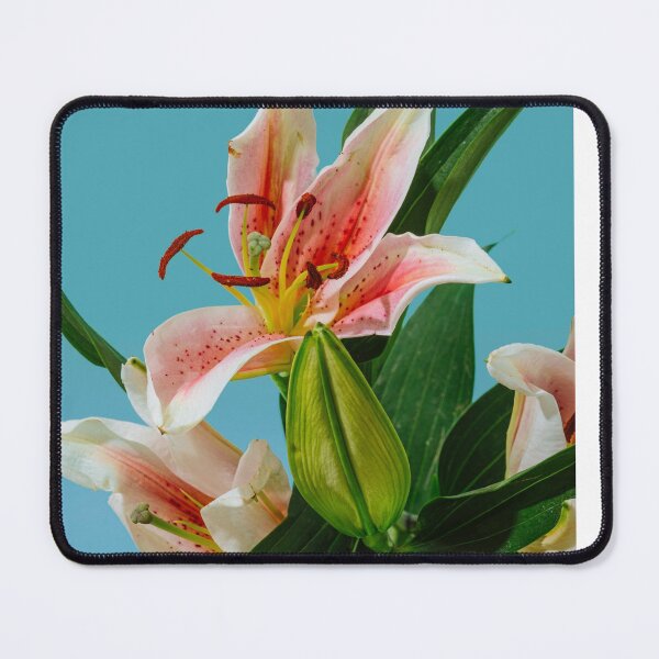 Item preview, Women floral theme Lily design designed and sold by Siahtasi55.