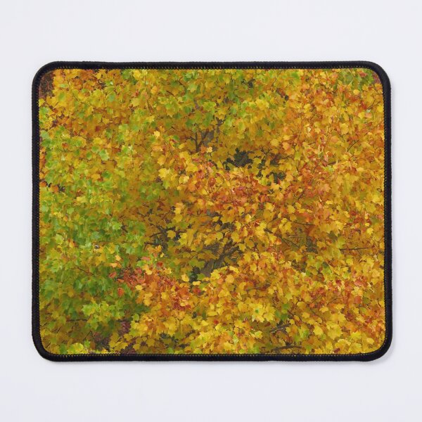Item preview, Autumn Splendor designed and sold by Honey Myrtle Studio.