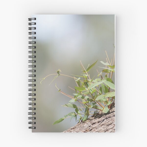 Item preview, New growth on fallen tree designed and sold by Kim Wormald  ~  lirralirra.