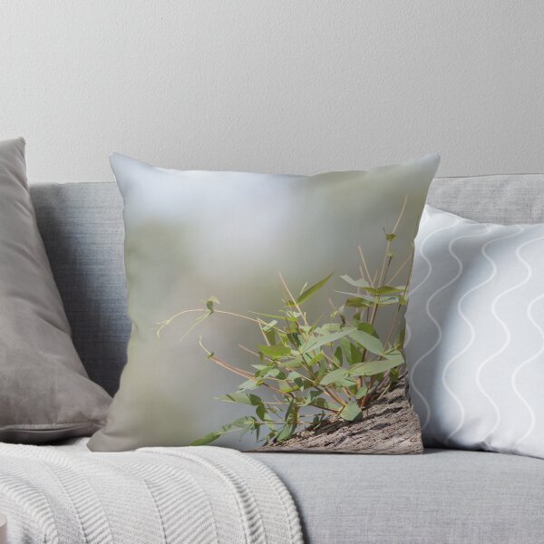 Item preview, New growth on fallen tree designed and sold by Kim Wormald  ~  lirralirra.