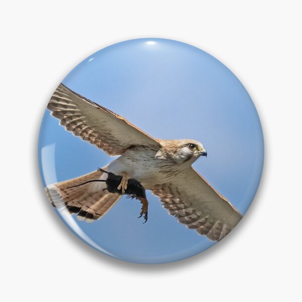 Item preview, Nankeen kestrel with mouse.  designed and sold by DaveBassett.