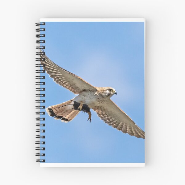 Item preview, Nankeen kestrel with mouse.  designed and sold by DaveBassett.