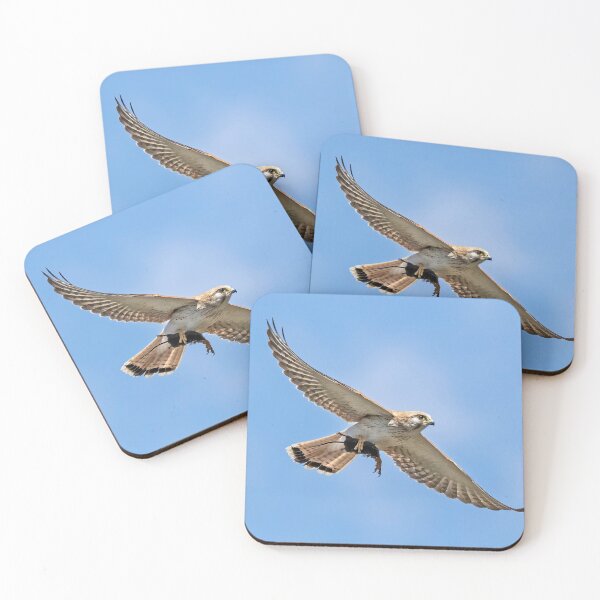 Item preview, Nankeen kestrel with mouse.  designed and sold by DaveBassett.