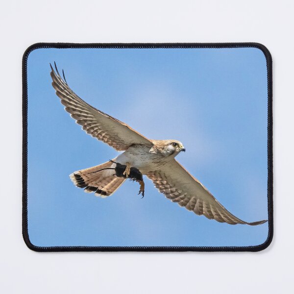 Item preview, Nankeen kestrel with mouse.  designed and sold by DaveBassett.