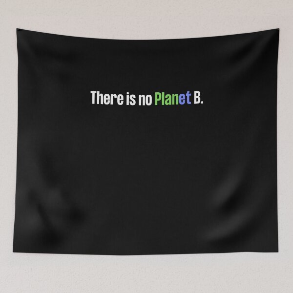 Item preview, There is no Planet B, there is no Plan B, climate change, glogal healing,socially conscious, planet earth, warming, wizard wordsmith   designed and sold by WizardWordSmith.