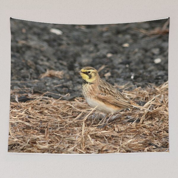 Item preview, Horned Lark designed and sold by Enola Gay Wagner.