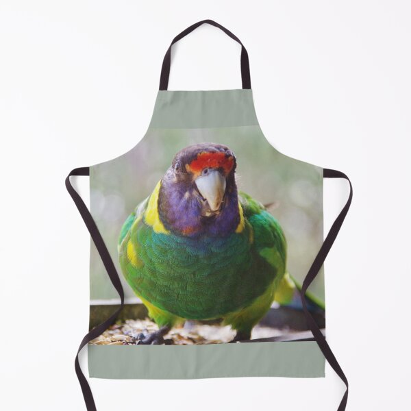 Artikelvorschau, Australischer Ringneck in Serpentine, WA entworfen und verkauft von lezvee.