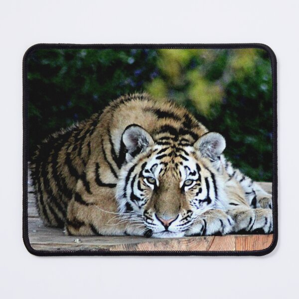 Item preview, Tiger tiger burning bright designed and sold by Ladymoose.