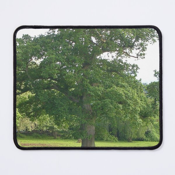 Item preview, A Somerset Tree designed and sold by lezvee.