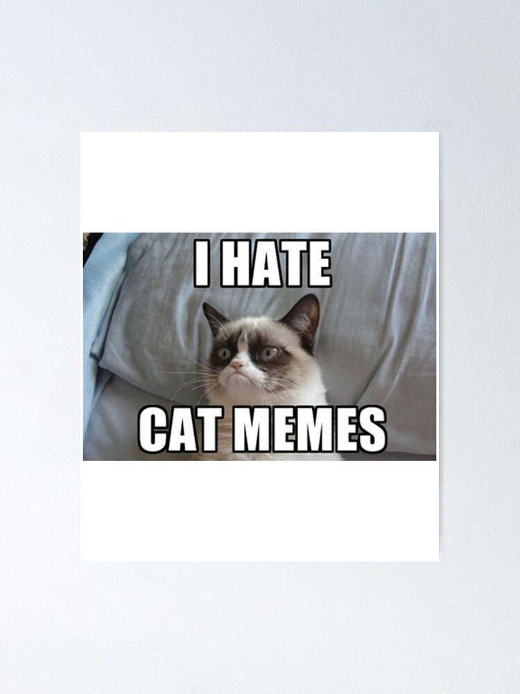 Angry Cat Meme I'm Grumpy So What Poster