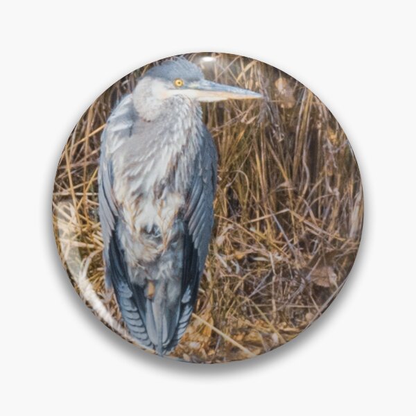 Item preview, Great Blue Heron Animal Wildlife Portrait  designed and sold by FreelanceJim.
