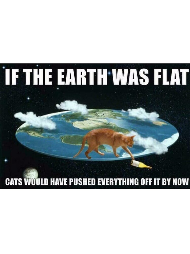 If the earth was flat cats would have knocked everything off