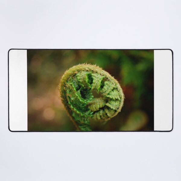 Item preview, Unfolding fern designed and sold by Anita van Gendt.