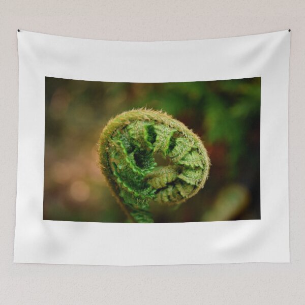 Item preview, Unfolding fern designed and sold by Anita van Gendt.