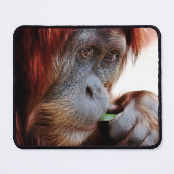 Item preview, Critically Endangered designed and sold by margotk.