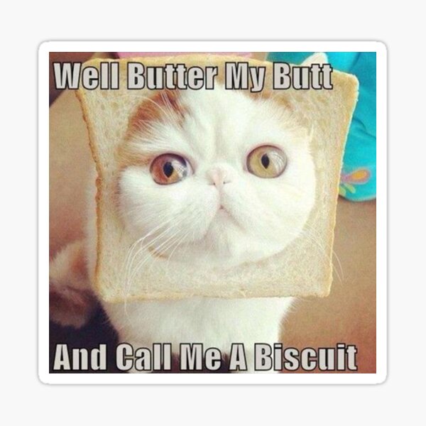 "Well Butter My Butt and Call Me a Biscuit Birthday and Christmas